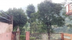 Dehradun Ashram
