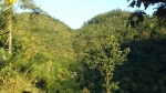 Dehradun Ashram